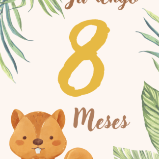 Tarjetas cumple mes bebés "Mi primer año"